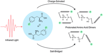 TOC_PCCP_Sidechain_Fluorination_Phenylalanine