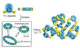 TOC_Papas_NatChem_pub_094