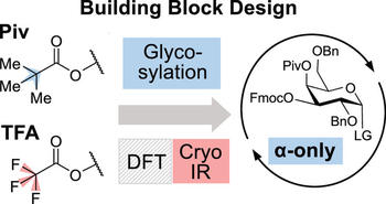 Electron density in acyl protecting groups