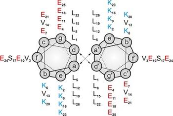 TOC_Santos_JStructBiol_pub_069