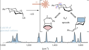 TOC Benzylidene-directed glycosylation