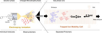 TOC Characterization of anticancer drugs
