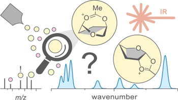 TOC_cwc_reactive_intermediates