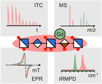 TOC_lp_gadolinium