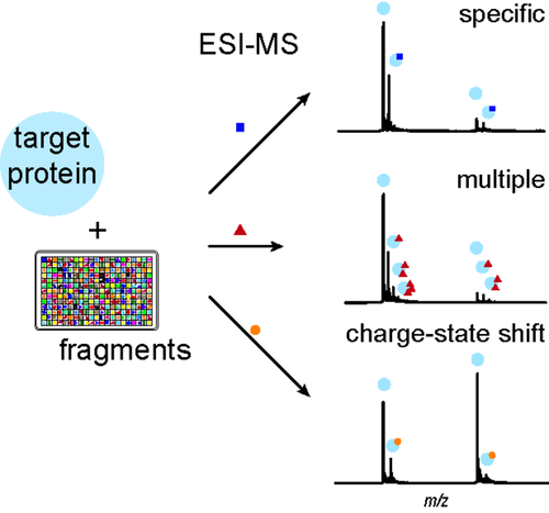 New Publication In Chem Med Chem Pagel Group Department Of