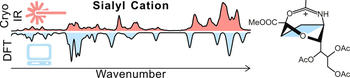 TOC: Direct experimental characterization of a sialyl cation