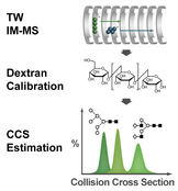 CCS Estimation