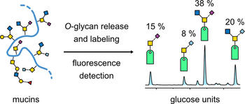o_glycan_analysis_marc_toc