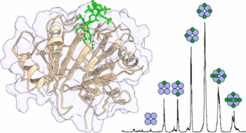 Fondaparinux Binding TOC