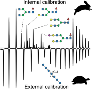 toc_internal_calibrant_n_glycans