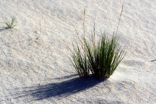 Lithuania - Curonian Spit