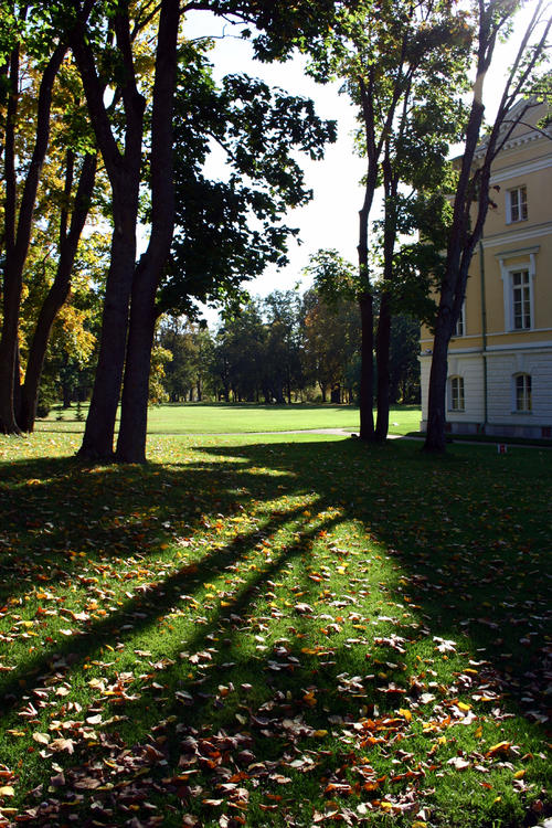 Palace Garden