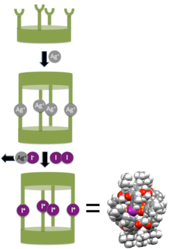 graphical abstract