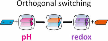 graphical abstract