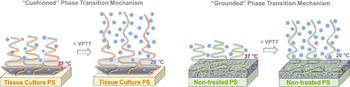 Acta Biomater TOC