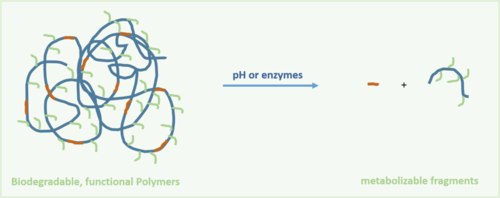 Biodegradable Polymers