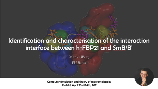 Computer simulation and theory of macromolecules