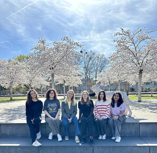 Group (April 2025)