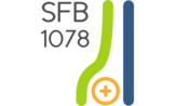 Logo CRC 1078