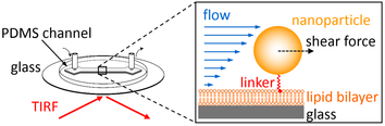 Optofluidics