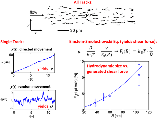 Concept Flow Nanometry