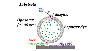 Biomimetic systems