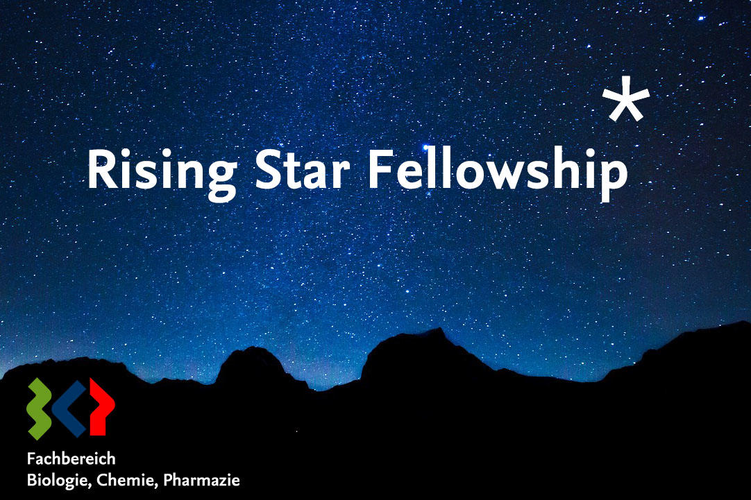 Rising Star Fellowship Program by the Dept. of Biology, Chemistry, Pharmacy