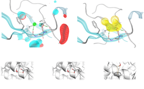 Pyrod uses solvation kinetics to sense interaction patterns for potential ligands