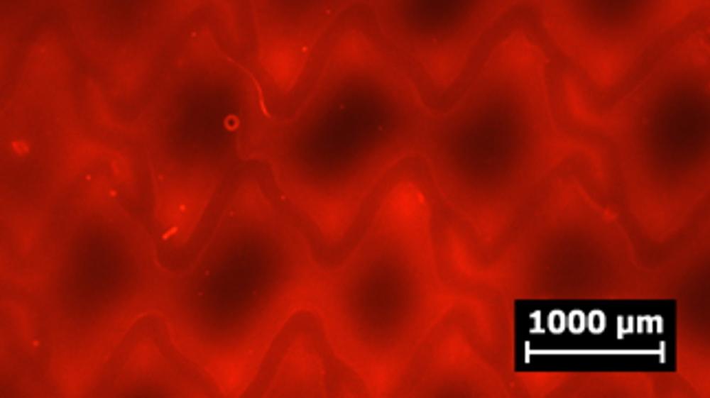 Specialized drug eluting devices 1