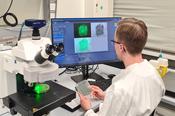 Student working with fluorescence microscope