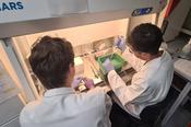 Students working under sterile conditions