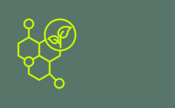Icon Molecular Plant Sciences