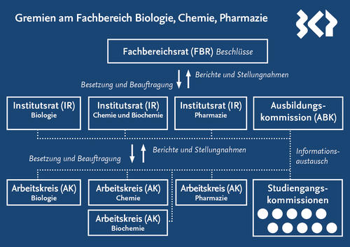 Übersicht über die Gremien am Fachbereich Biologie, Chemie, Pharmazie