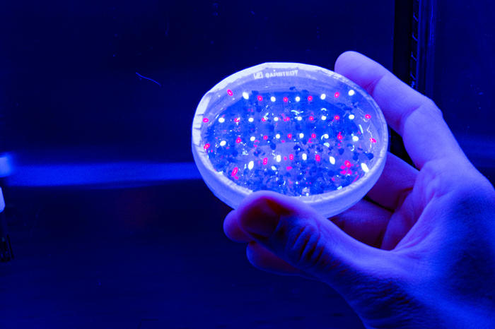 Sonderforschungsbereich 973 Priming and Memory of Organismic Responses to Stress