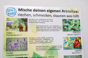 Pharmazie: Für Kinder gab es die Möglichkeit, sich einen eigenen Tee zu mischen.