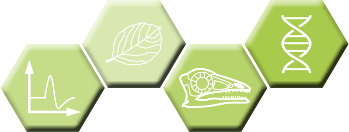 Icon_Bio