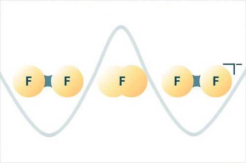 Die Forschenden wiesen nach, dass auch Fluoratome quantenmechanisch Tunneln können – wodurch ein Molekül ohne weiteres zwischen zwei Zuständen wechselt, die eigentlich durch eine Energiebarriere voneinander getrennt sind.