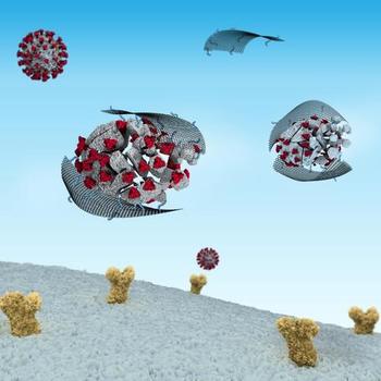 Die Kombination von elektrostatischen und hydrophoben Wechselwirkungen spielt eine Schlüsselrolle an den Grenzflächen zwischen Materialien und Coronaviren. Solche Substanzen können Zellen effizient vor Coronavirus-Infektionen schützen.