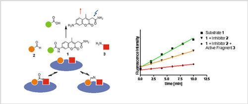 Fig. 1: The concept og Ligation Screening. Site-specific detection of fragments by substrate competition.