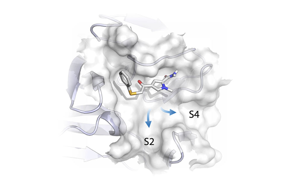 vir_protease