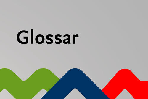 Glossar