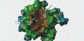 Biochemie