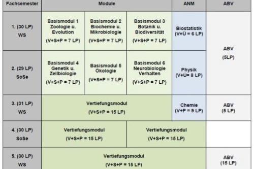 Studienverlaufsplan MONOs