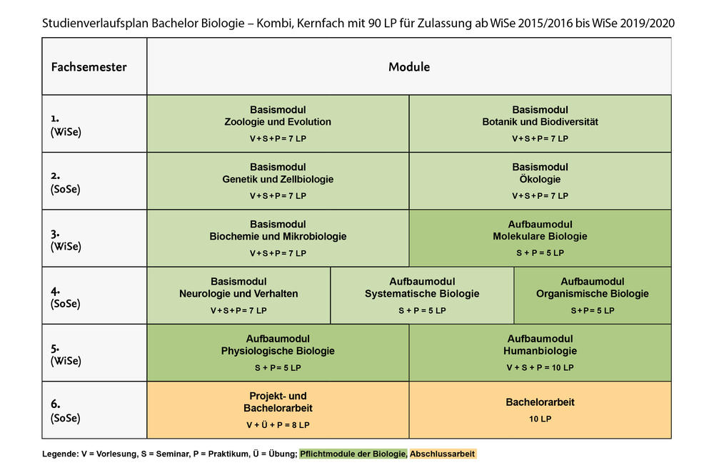 Studienverlauf Bachelor Biologie – Kombi, Kernfach mit 90 LP für Zulassung ab WiSe 2015/16 bis WiSe 2019/20