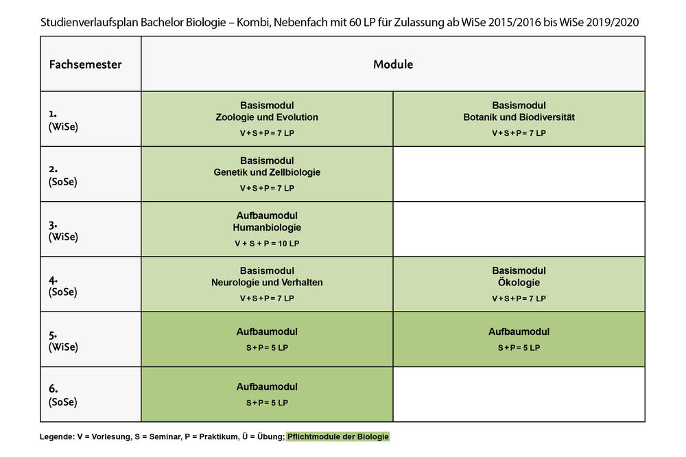Studienverlauf Bachelor Biologie – Kombi, Nebenfach mit 60 LP für Zulassung ab WiSe 2015/2016 bis WiSe 2019/2020