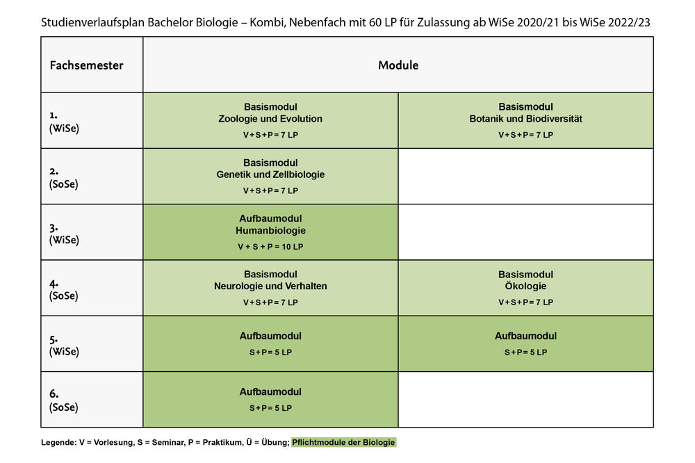 Studienverlauf Bachelor Kombi Nebenfach für Zulassung ab WiSe2020/21 bis WiSe 2022/23