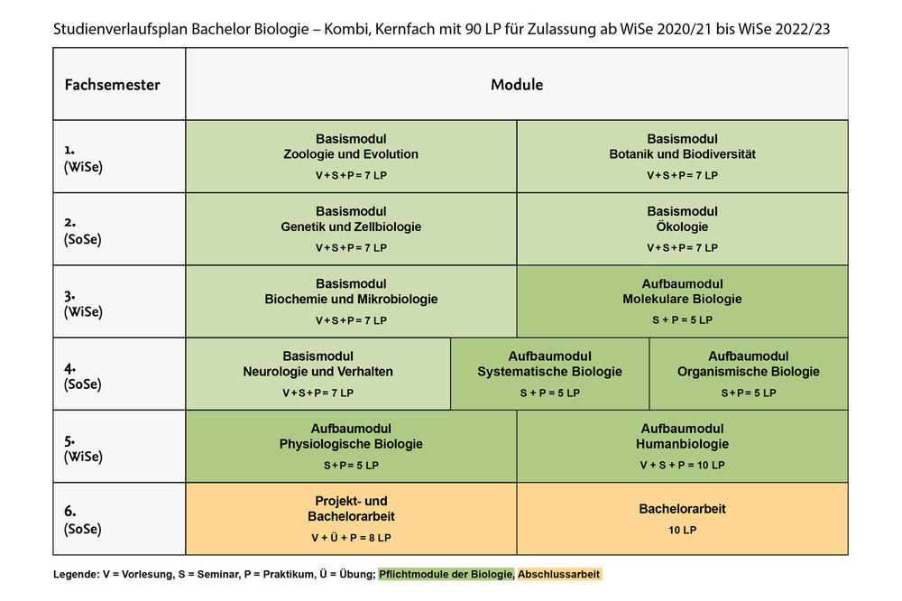 Studienverlauf Bachelor Kombi Kernfach für Zulassung ab WiSe 2020/21 bis WiSe 2022/23