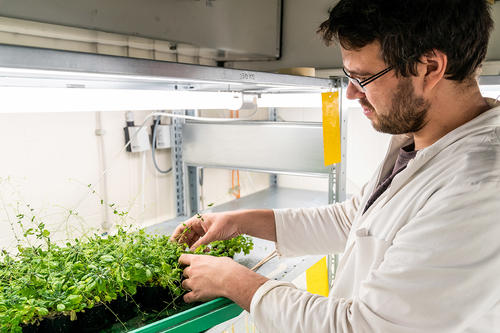 Fachnahe ABV-Module  sind Module aus dem Berufsfeld der Biologie.