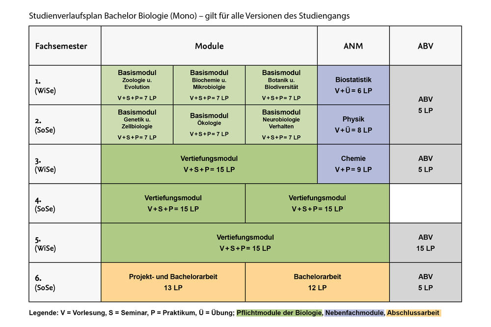 Studienverlaufsplan Mono-Bachelor Biologie