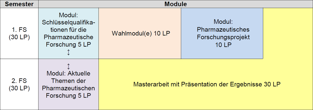 Exemplarischer Studienverlaufsplan